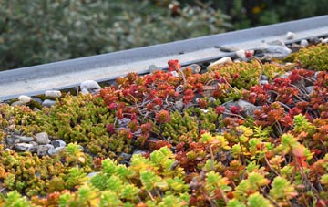 the cost of Killough green roof installation