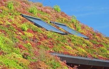 Killough living roof systems